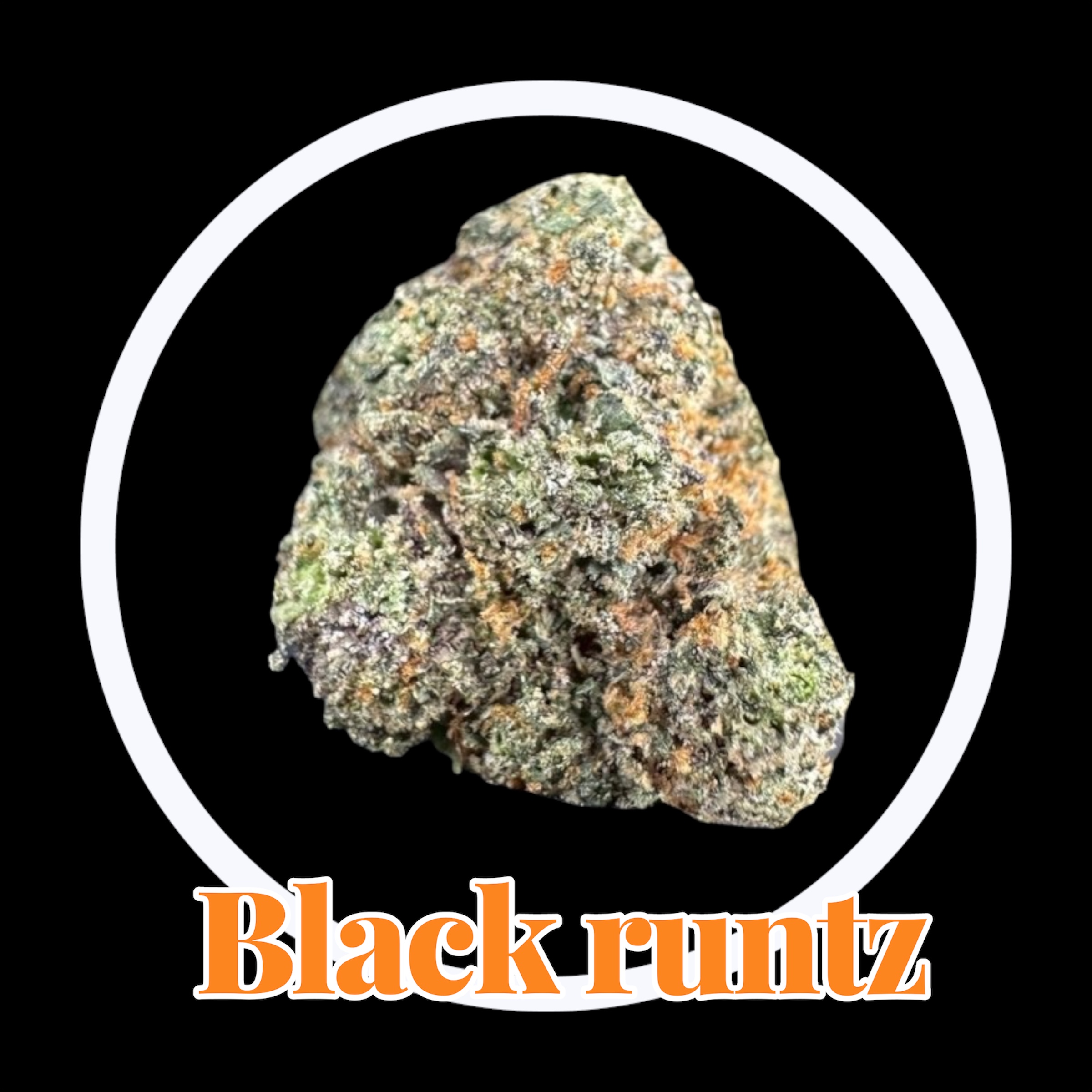 29-11-25 10-55-01pm.jpg